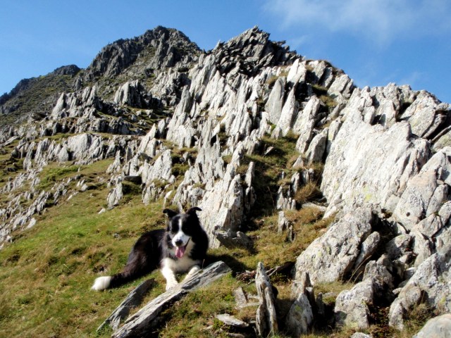 ‘Mist’ chilled out, and unimpressed by all the talk about dragons