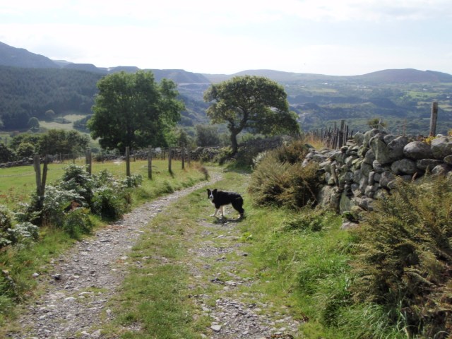 “Get a move on – it’s dinner time!”