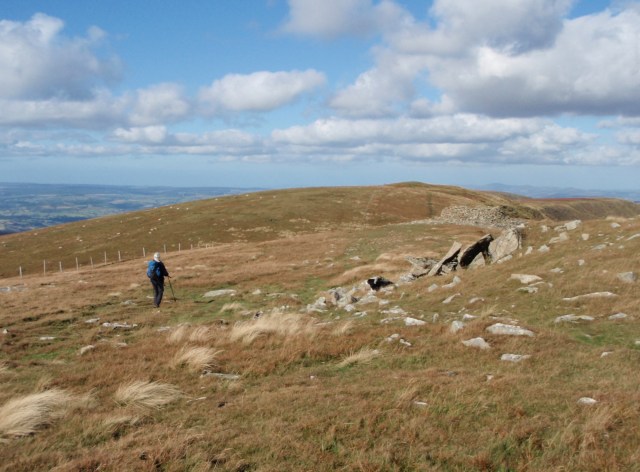 Heading for Cadair Berwyn, with the stone shelter on the right