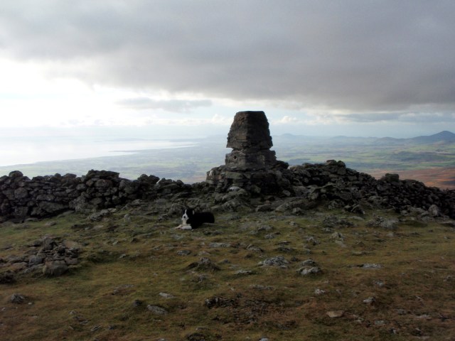 ‘Mist’ at the summit