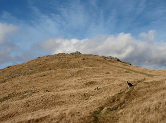 Moel Lefn ahead - the last summit