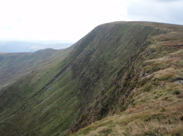 Craig Berwyn and daredevil sheep