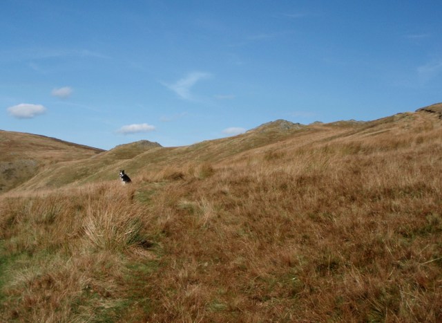 A long, steady ascent to start with ….