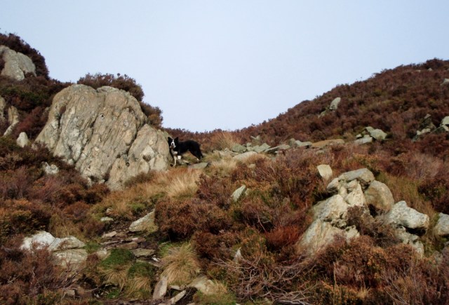 The summit gets nearer