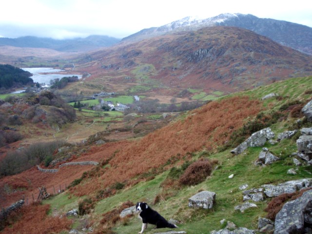 Looking down to Capel Curig