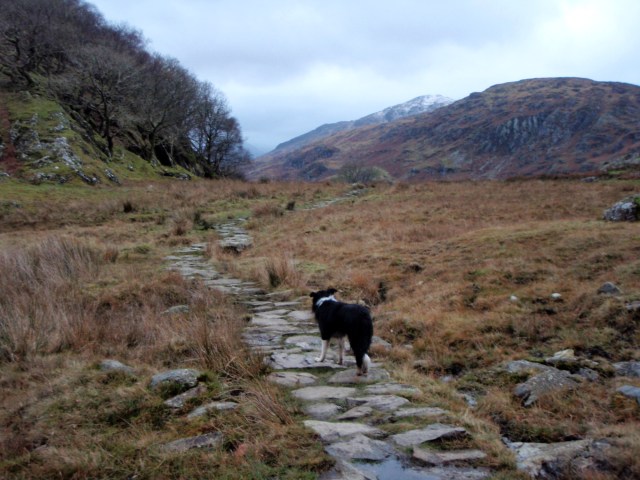 Down at last, and heading for home