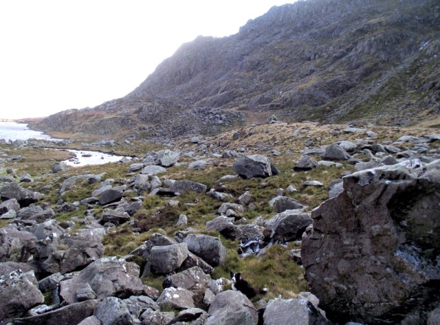 Aircraft wreckage (just beyond 'Mist' in the centre)
