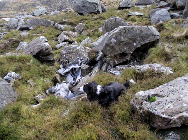 ‘Mist’ next to an aluminium panel from one of the aircraft