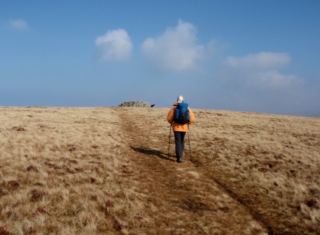 The summit of Moel Wnion ahead ….