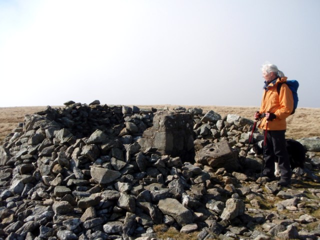 …. with a tumbledown shelter