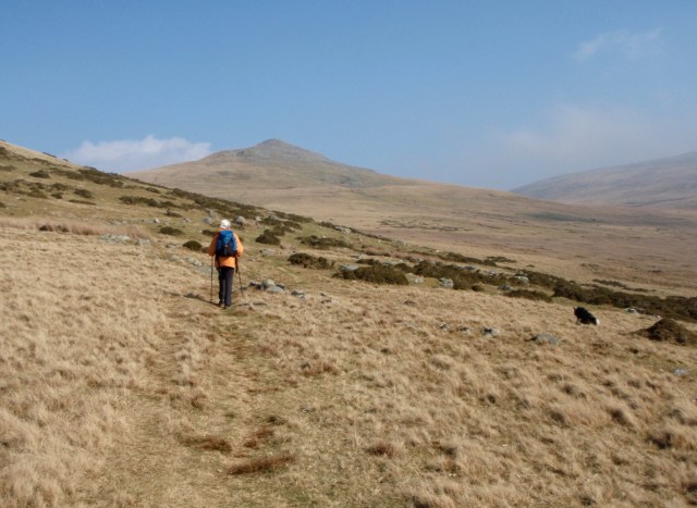 On the south slopes of Llefn, heading towards Gyrn
