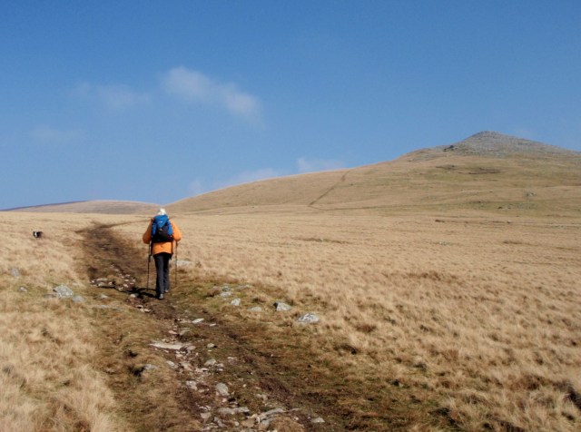 Gyrn, looming closer now