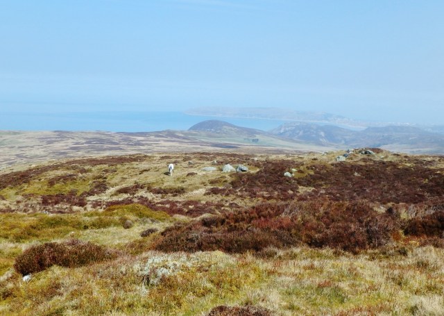 The view out to sea, with Orme Head visible