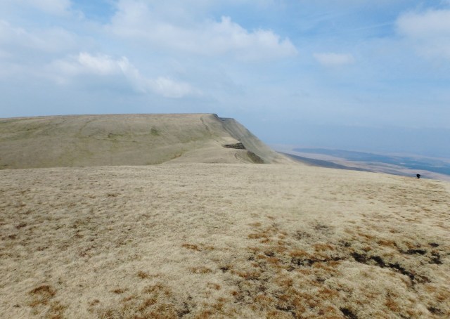 Fan Brycheiniog ahead – our highest point at 802 metres