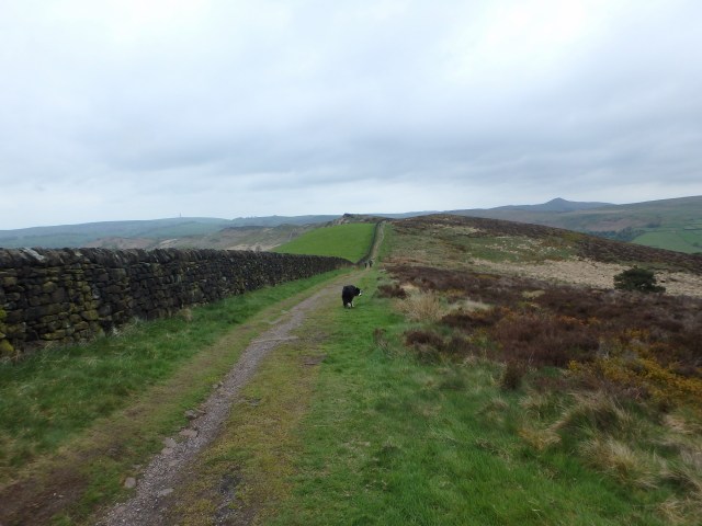 Heading for Lud’s Church