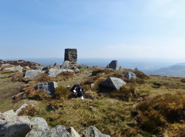 …. with ‘Mist’ the first to arrive (as usual) ….