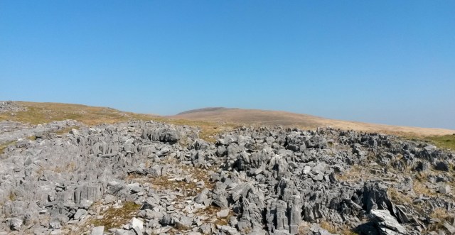 The west side of Fan Hir - a long whaleback ridge above limestone outcrops