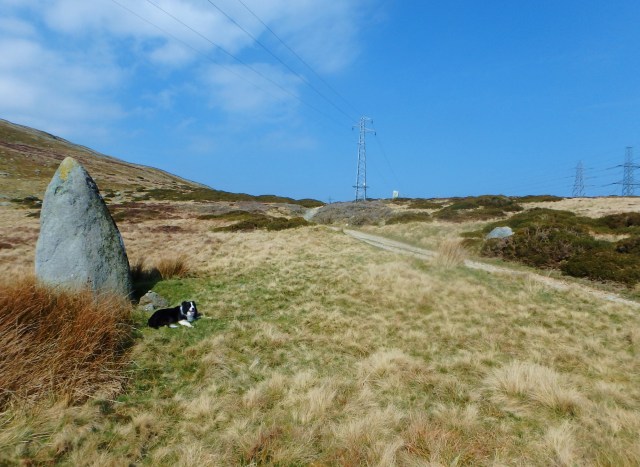 Standing stone next to the Roman Road at Bwlch y Ddeufaen