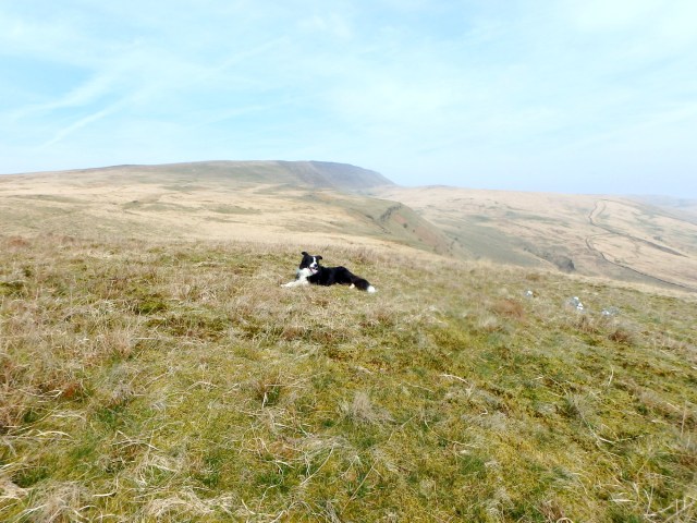 ‘Mist’ taking a break with Fan Hir behind in the distance