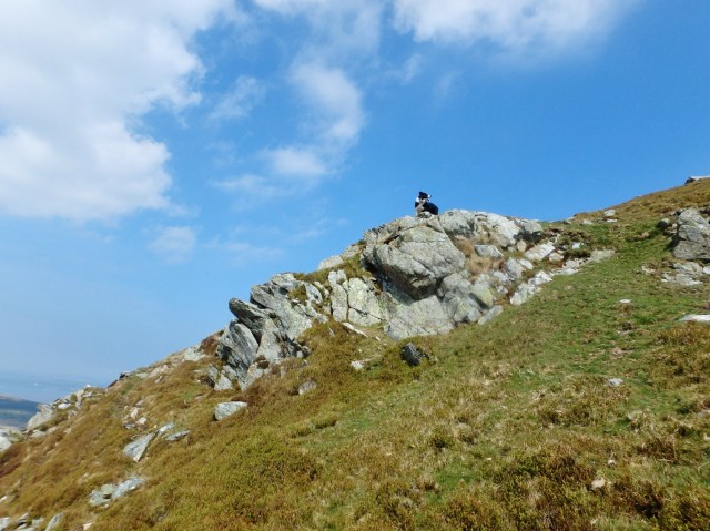 Sometimes it helps to have a good viewpoint