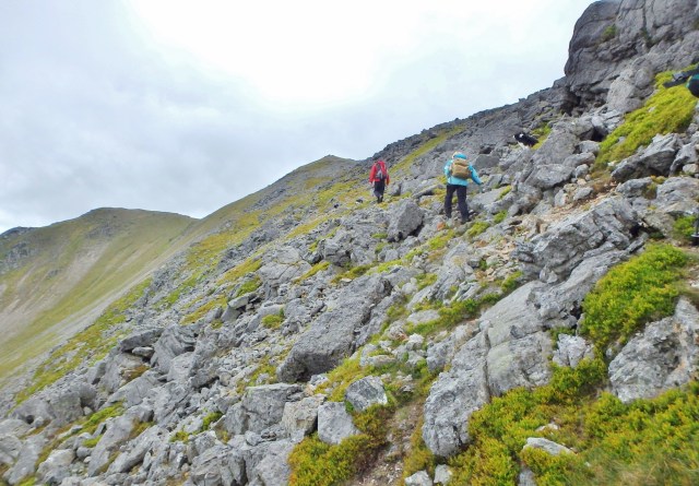 Heading for the summit ….