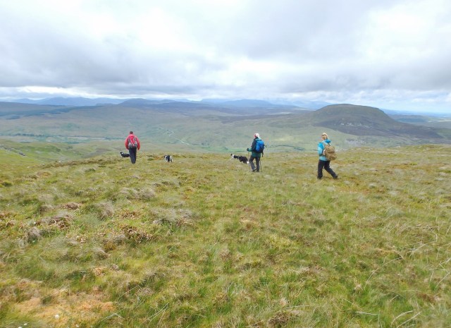 Time to head for home