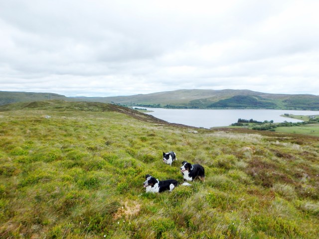 …. with willing subjects lined up