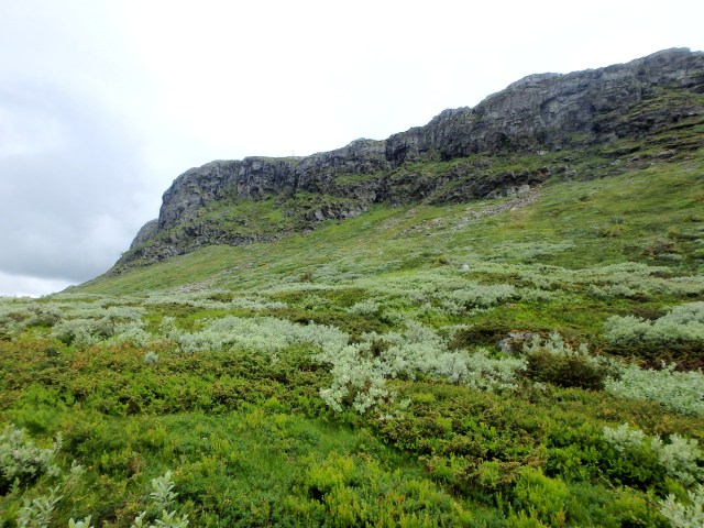Looking up towards the summit