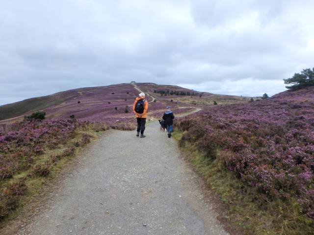 The track up Moel Famau – a long way for little legs!