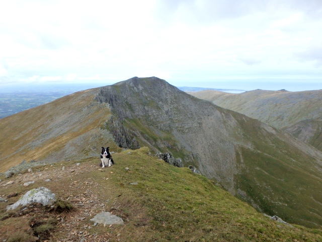 …. and looking back to Yr Elen on the way up Carnedd Llewelyn