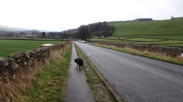 Heading for home - at the end of a soggy doggy walk