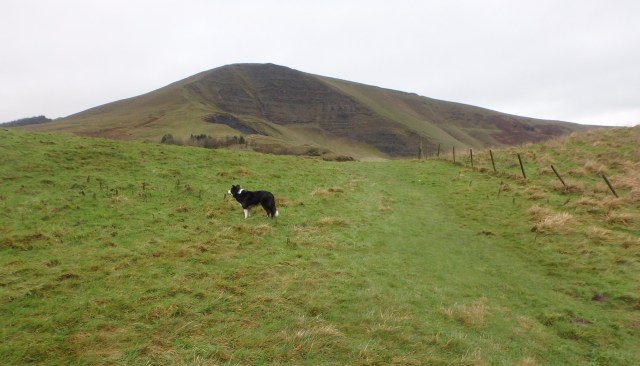 Border Collie ‘Mist’ heading for Mam Tor