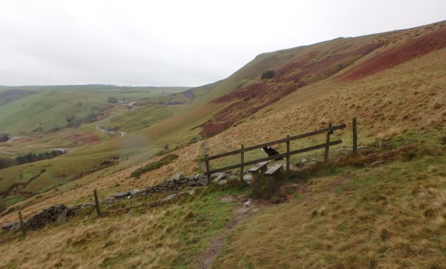 Heading down towards the ruined road