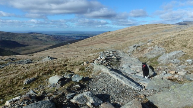 Heading for home ….