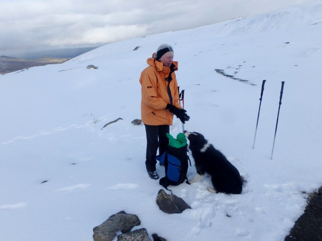 …. but a dog biscuit is more tempting!