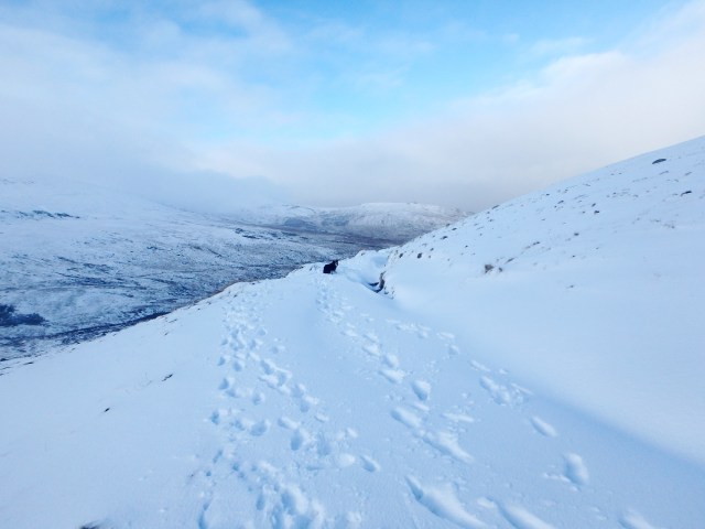 Time to head for home