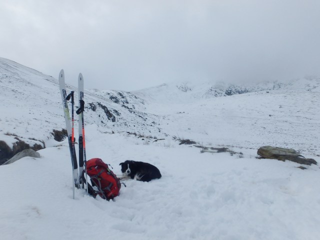 Back again the day after, with skis this time – on the track to Melynllyn