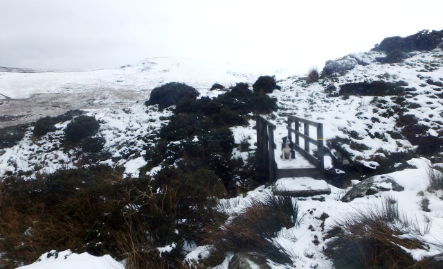 A bit more snowy at 450 metres