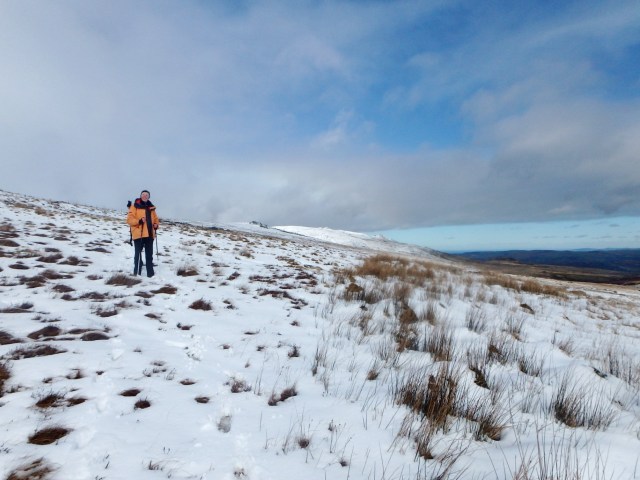Blue sky behind ….