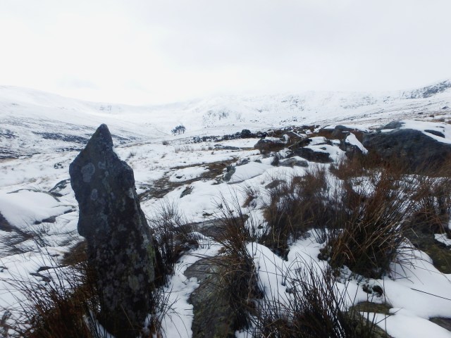 …. but a bit bleak ahead