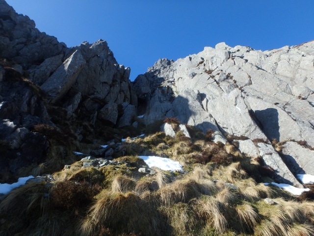 Looking up towards the summit