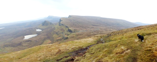 …. on the way home