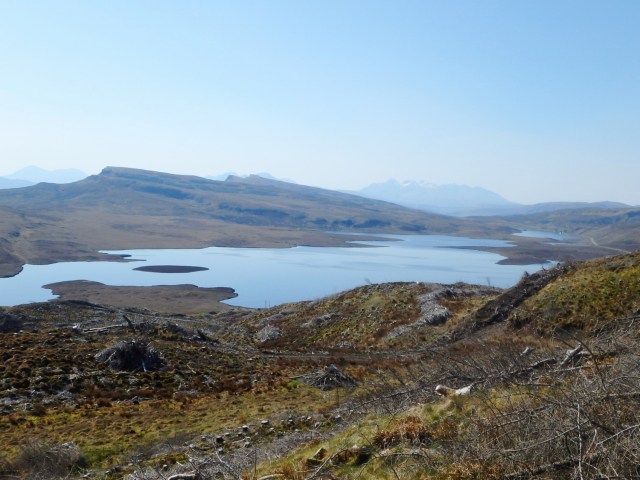 The view south towards Loch Leathan, now minus trees!