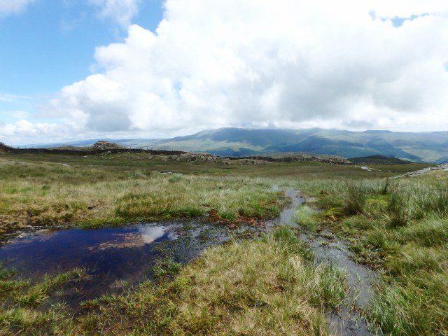 The soggy plateau below the summit …. 