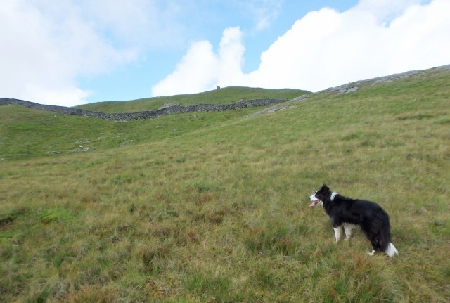 …. with the Trig Point coming into view 