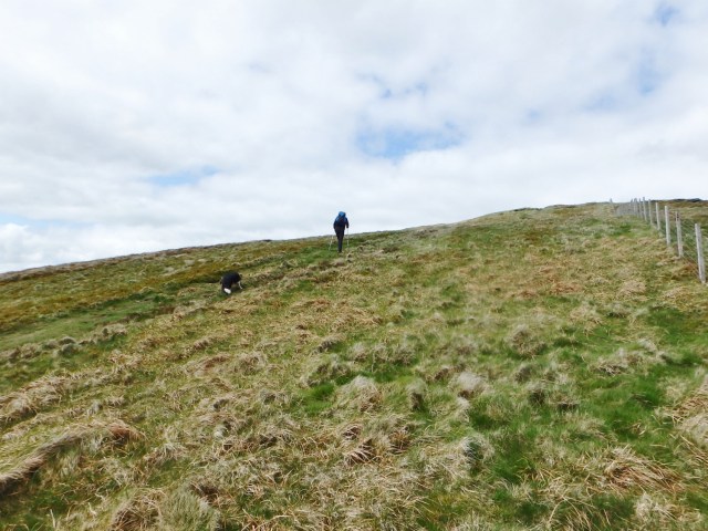 In fact, there’s quite a bit of uphill ….