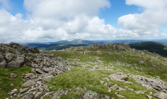 Summit rocks of Rhobell Fawr, surprisingly bumpy for a grassy hill 