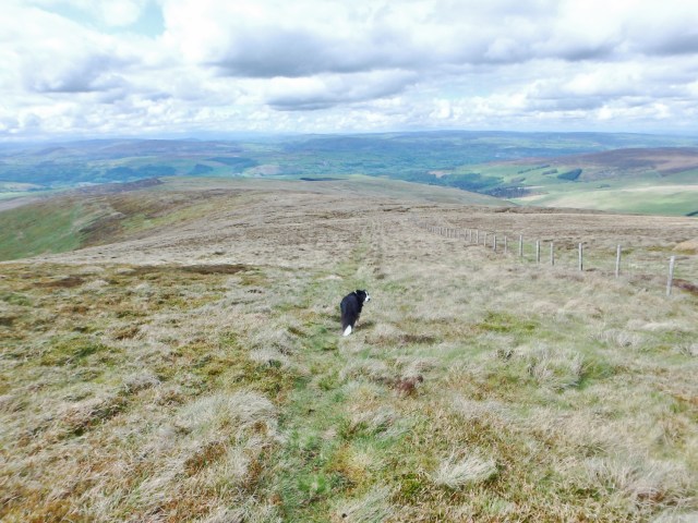 On the descent towards Moel Pearce