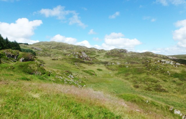 Emerging from the forest – the ridge leading to the summit of Dduallt