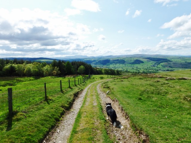 Time to head for home